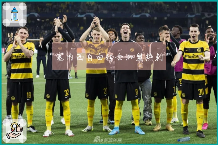 塞内西自由转会加盟热刺