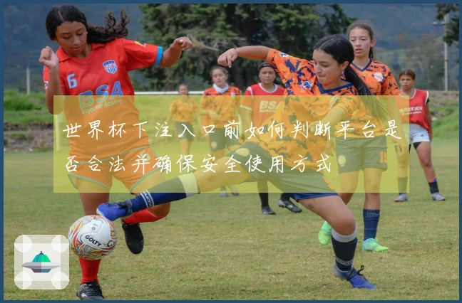 世界杯下注入口前如何判断平台是否合法并确保安全使用方式