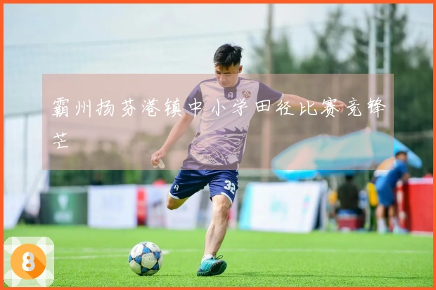 霸州扬芬港镇中小学田径比赛竞锋芒