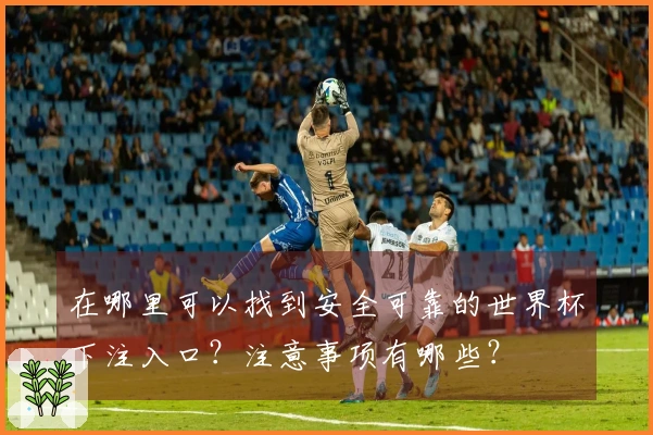 在哪里可以找到安全可靠的世界杯下注入口？注意事项有哪些？